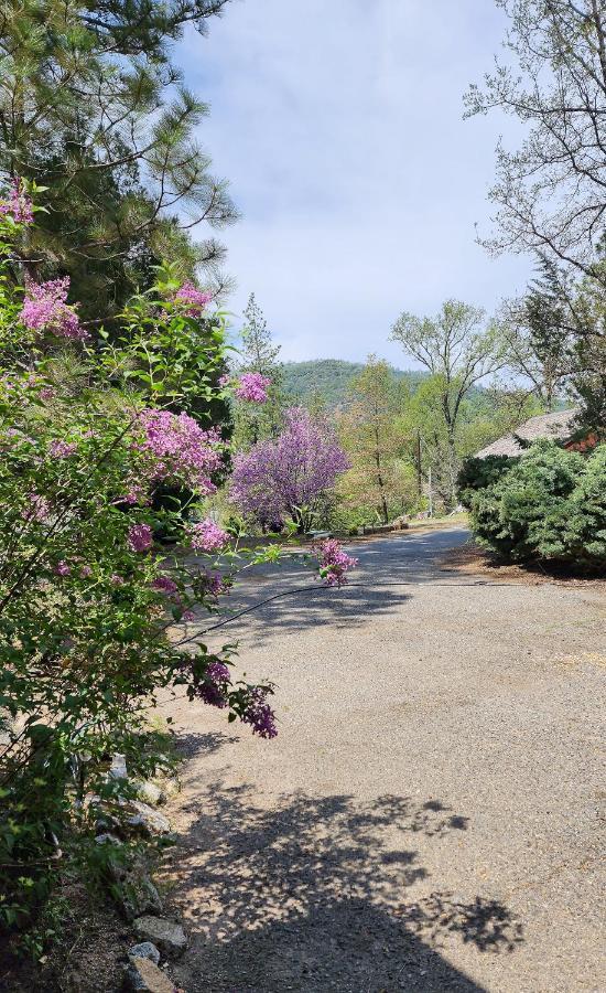 Yosemite Mountain Retreat Villa Oakhurst Exterior photo